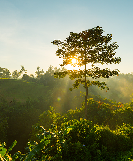 Mais do que uma consultoria, somos a sua parceira ambiental estratégica!